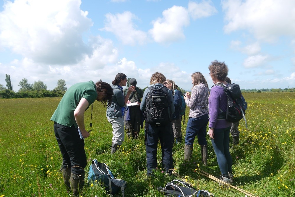 Volunteers in an open meadow being trained for botanical survey Summer 2022 in one of the floodplain meadows in the Severn Vale