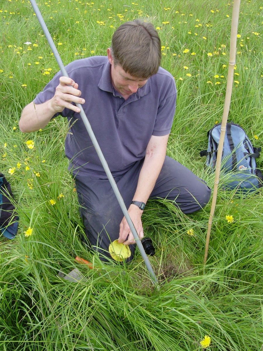 Image of a person in a meadow
