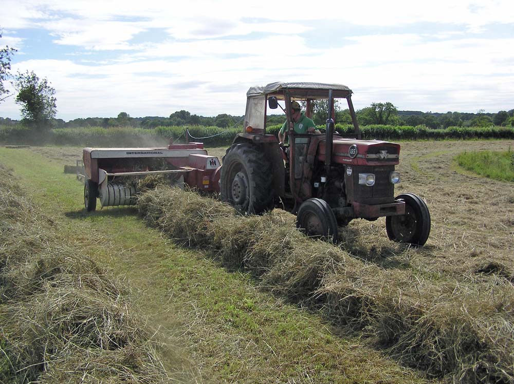 Image of tractor cutting hay - copyright Mike Dodd