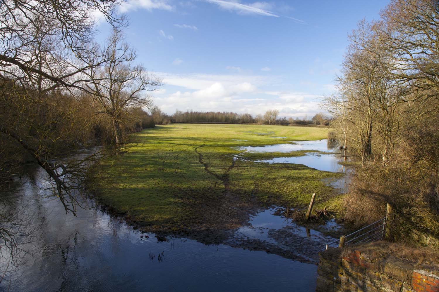 Photo of flooded meadow - copyright Mike Dodd