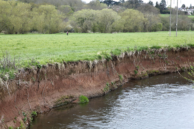 Photo of a river bank - copyright Mike Dodd