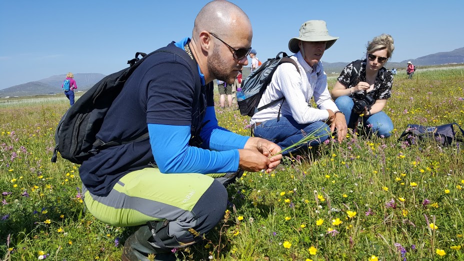 Image of researchers in a field