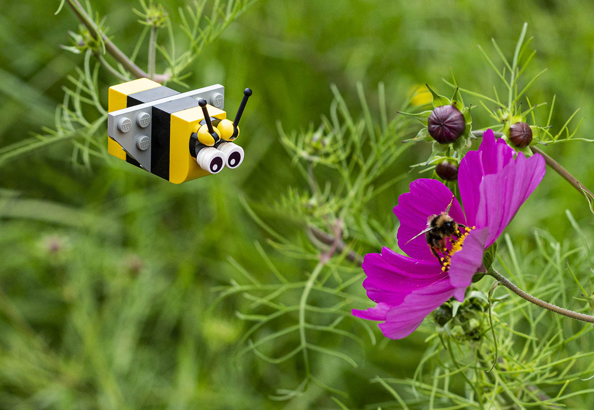 Image of a flower with a lego bee - copyright Stacy Phillips