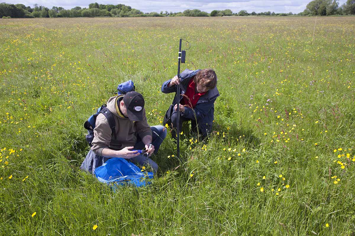 Image of researchers in a field - copyright Mike Dodd