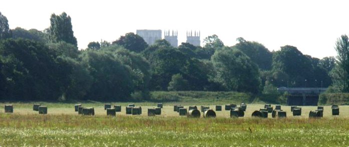 Photo of hay bales