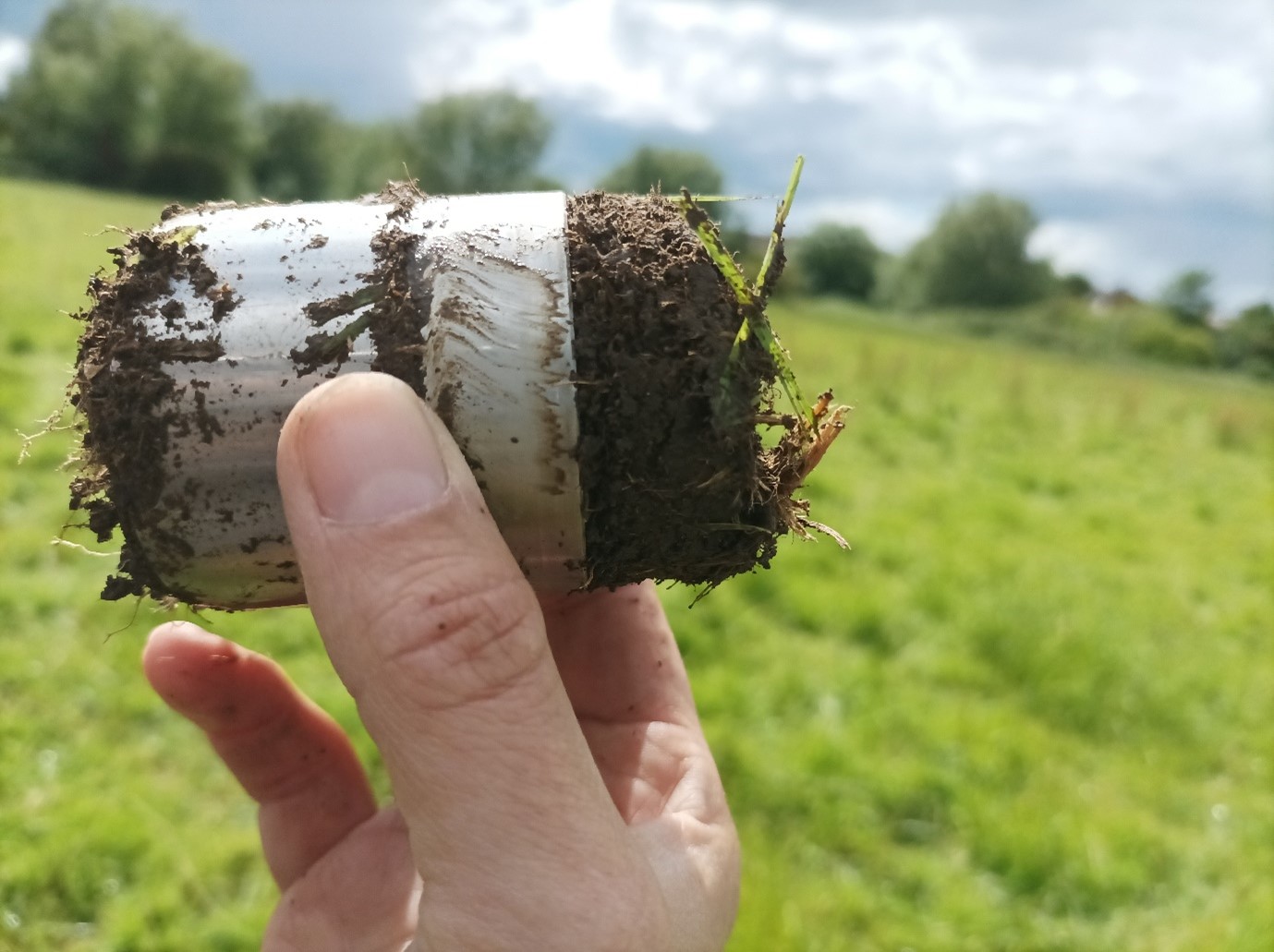 Photo of a soil sample being held