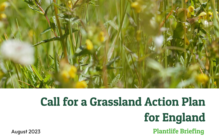 Grassland Action Plan