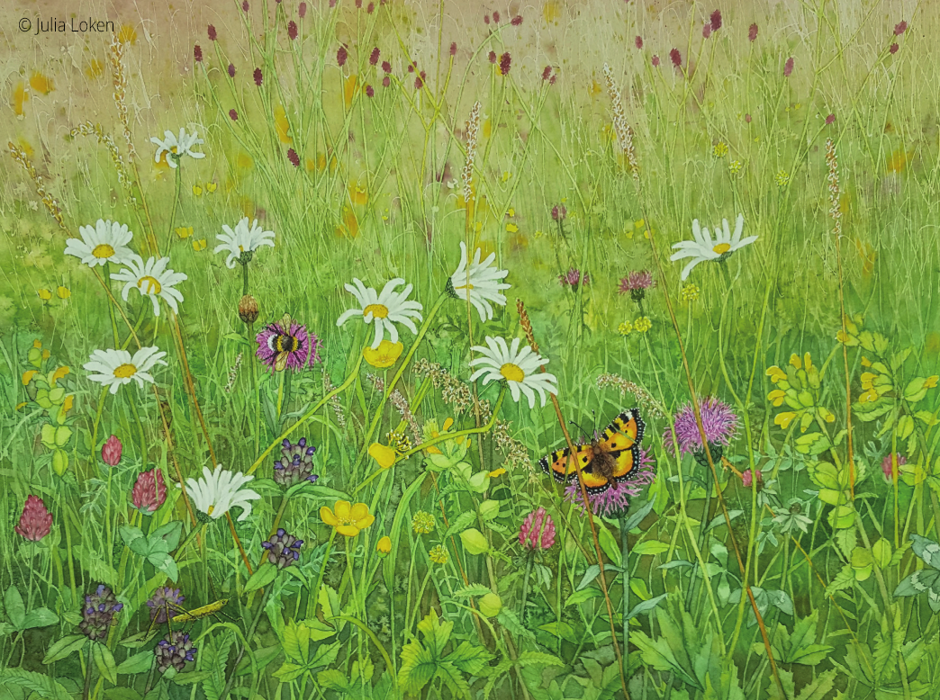 A painting of a field of grasses and herbs