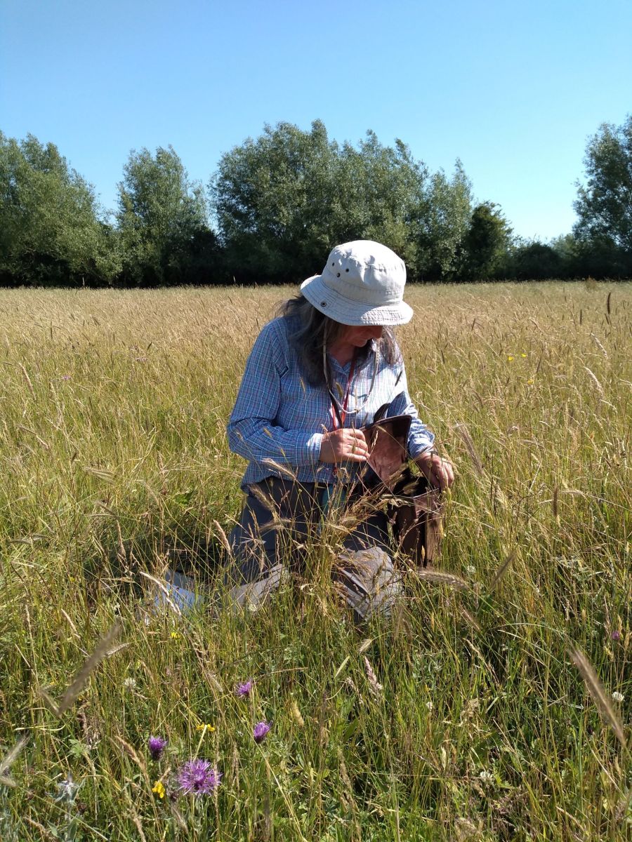 Image of Juliet Bailey in a meadow