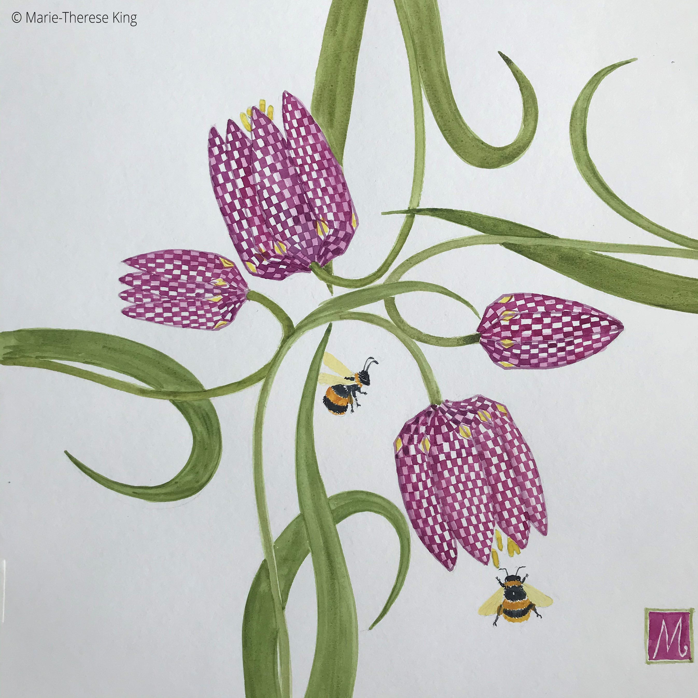 A painting of snakes head fritillary flowers