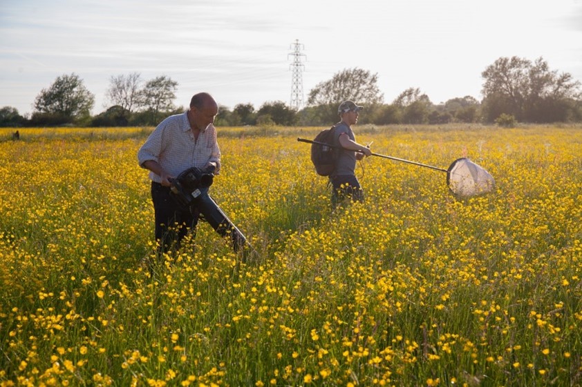 Photo of researchers collecting insects