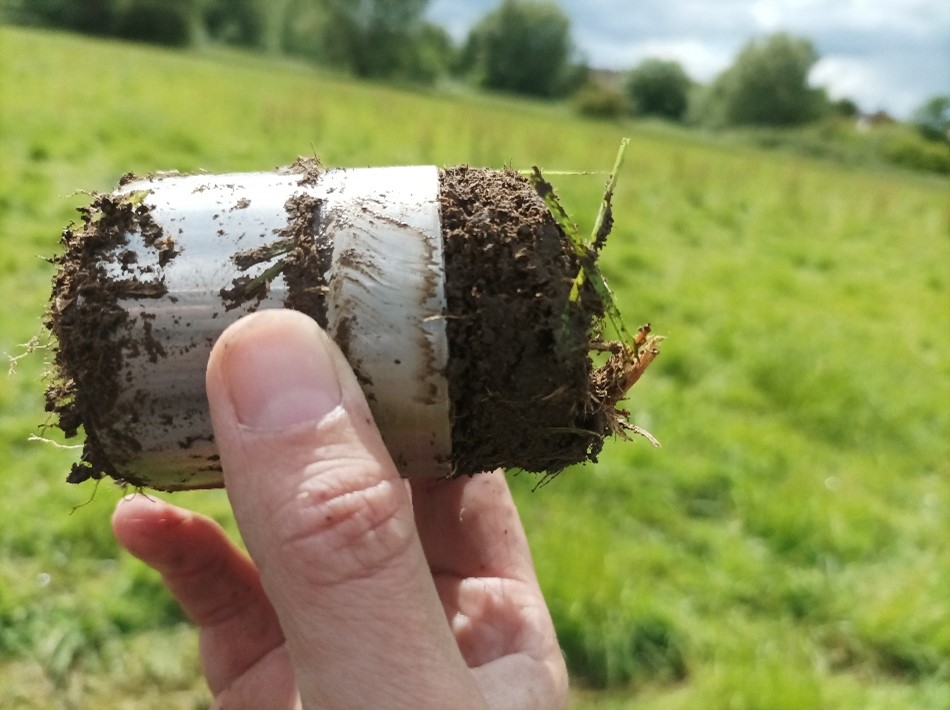 Hand holding a soil sample collected for bulk density analysis