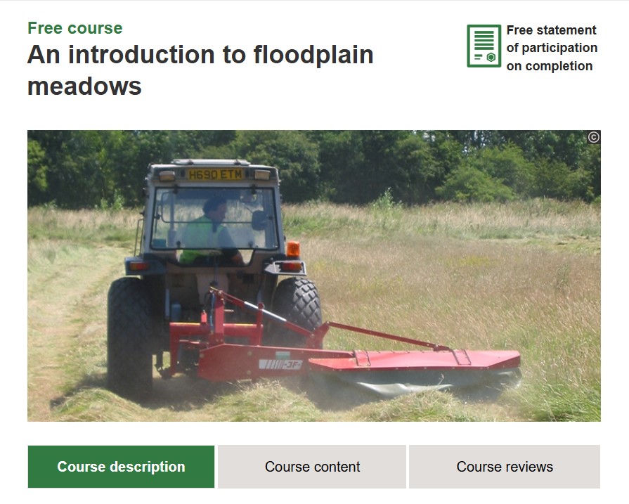 A tractor cutting vegetation in a field