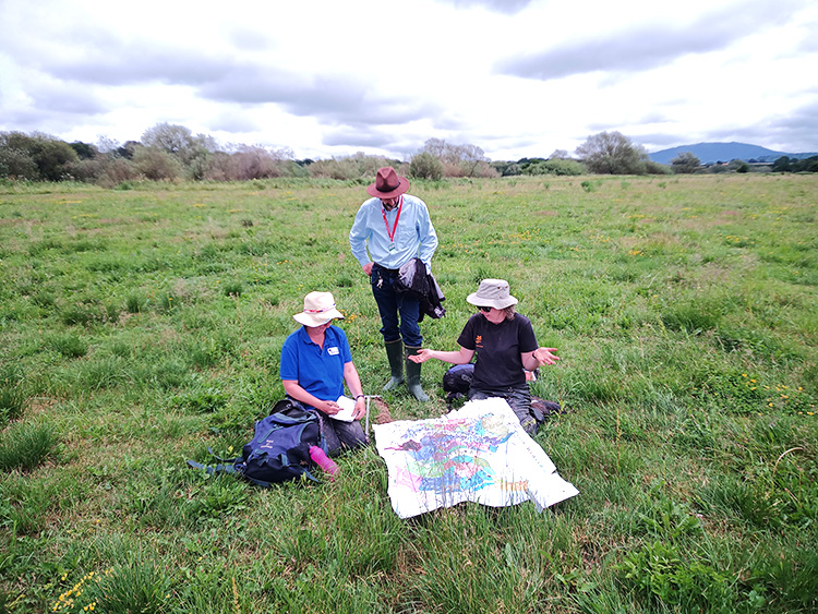 Three people in a meadow examining a site map.