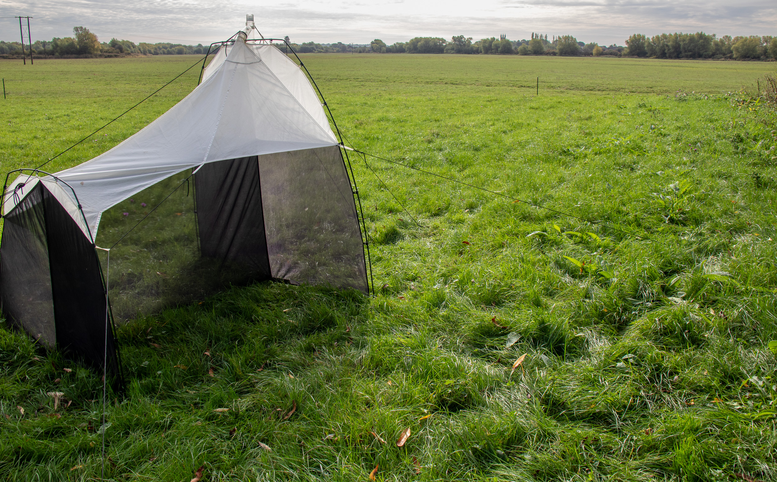 Picture of a maliase trap (a small tent-like structure) in a grassy field