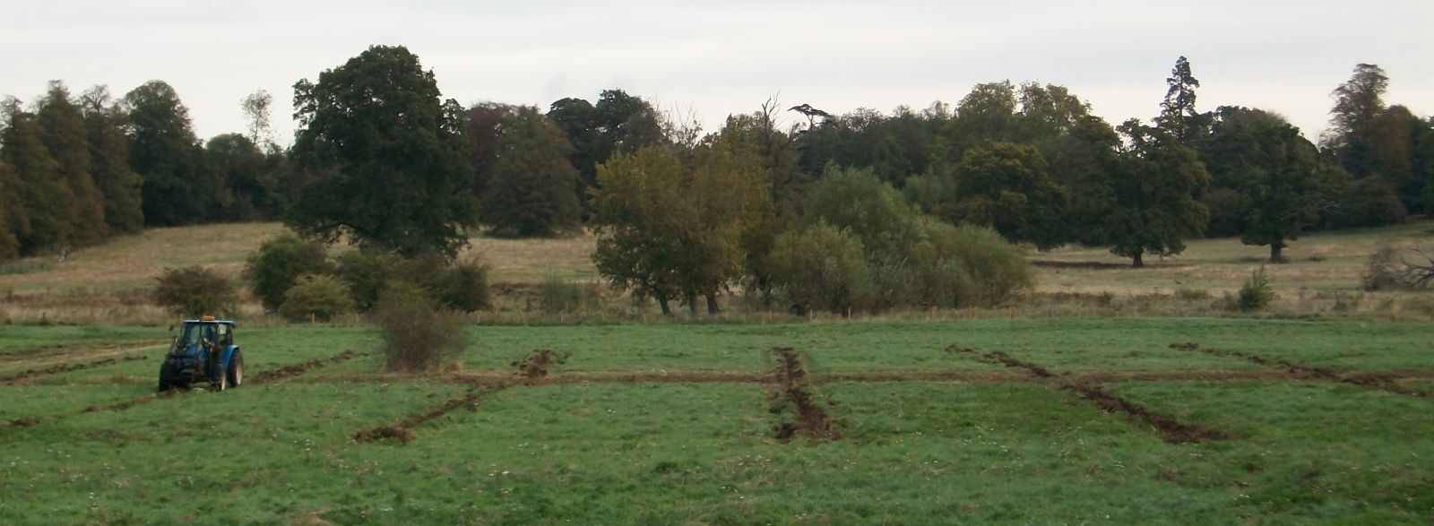 A network of shallow cross drains to facilitate removal of water fromt eh top layers of the soil to prevent water logging and anoxia. Copyright RNRP