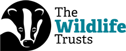 Wildlife Trusts logo