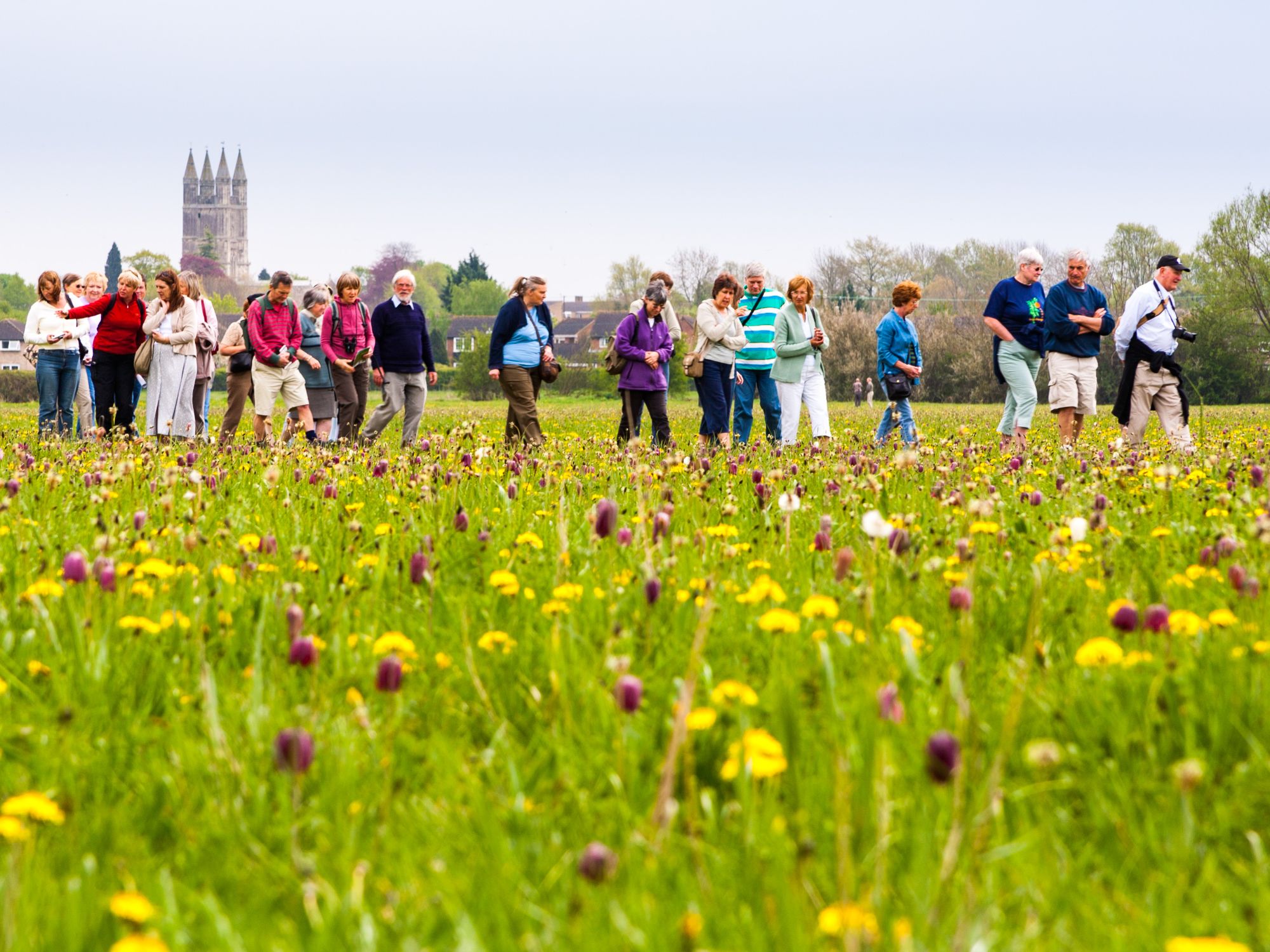 Image of people walking in a meadow - copyright Mike Dodds