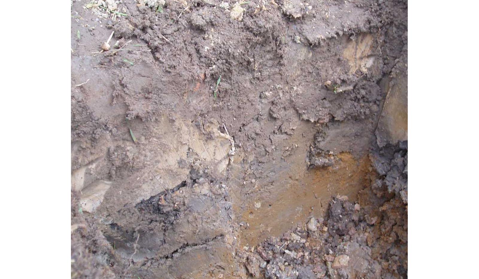 Image of compacted soil