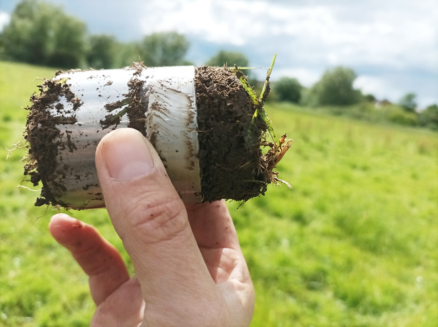 Image of a soil core