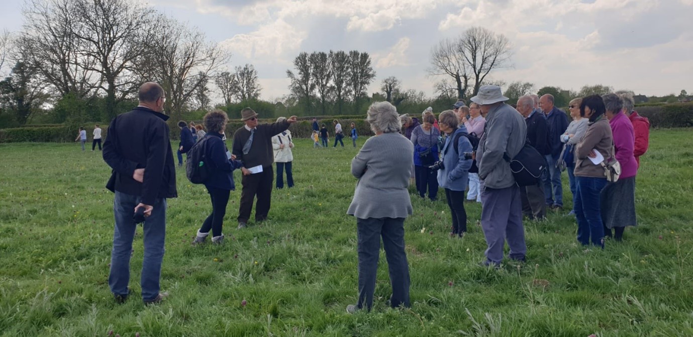 Image of people on a guided walk at Ducklington