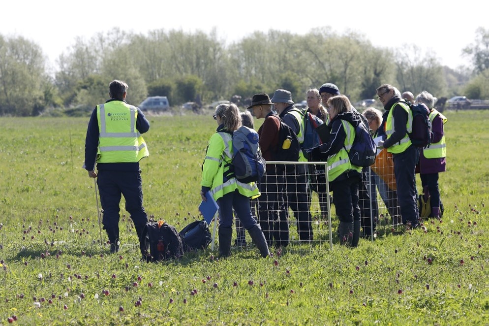 Photo of people training in counting fritillaries at North Meadow. Photo: Mike Dodd