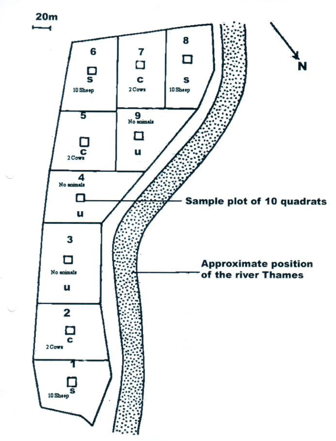 Simple map of grazing plots at Somerford Mead