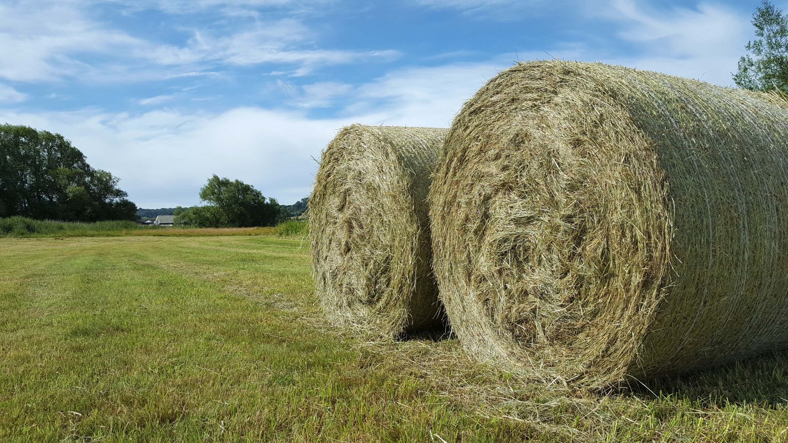 Image of Hay Bales