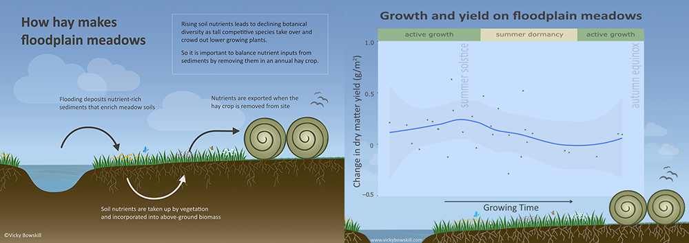 Figures 1 (meadow nutrient cycle) and 2 (growth rate)