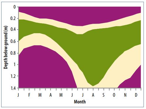 A graph showing the change in water level throughout the year of a typical floodplain meadow plant community. The water level is high in the winter and then drops right down to below 1.2m below ground, by August, rising again towards December.