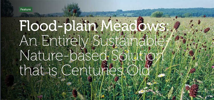 Floodplain Meadows:an entirely nature-based solution that is centuries old