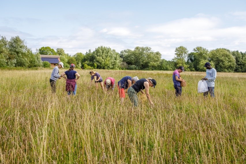 Image of people in a meadow