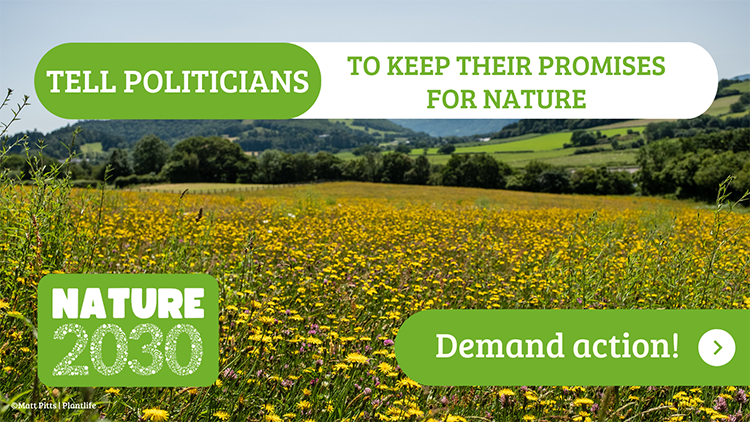 Nature 2030. Tell politicians to keep their promises: Demand Action