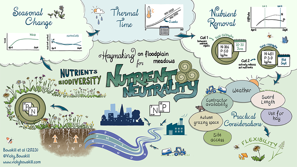 Graphical abstract of the article by Vicky Bowskill