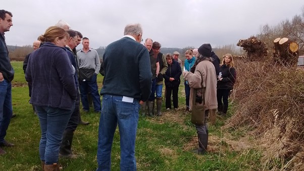 Image of people in a field