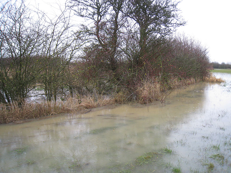 Photo of flooded field at Yarnton
