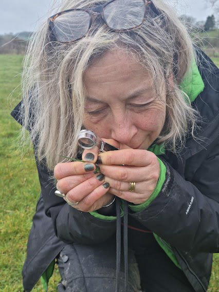 Photo of someone looking at grass with an eye glass